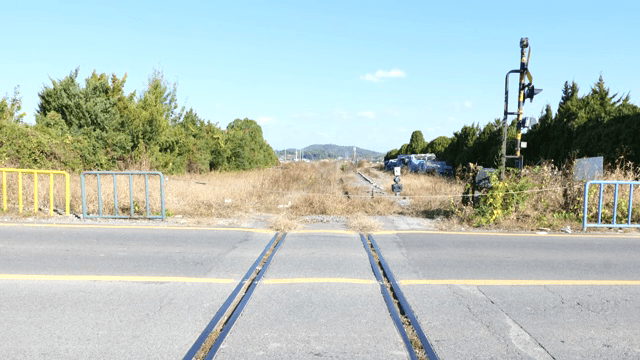 시골 도로를 건너는 두 자동차