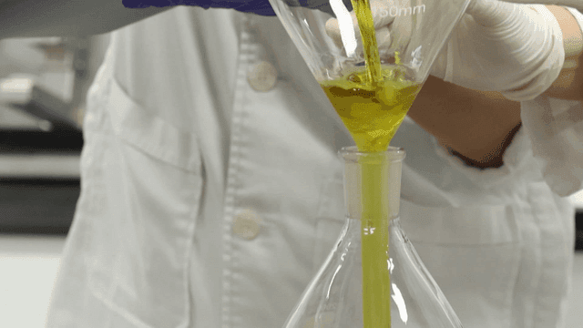 실험실에서 플라스크에 노란 액체를 붓는 연구원