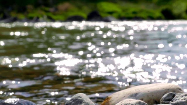 햇빛이 반사되는 흐르는 강