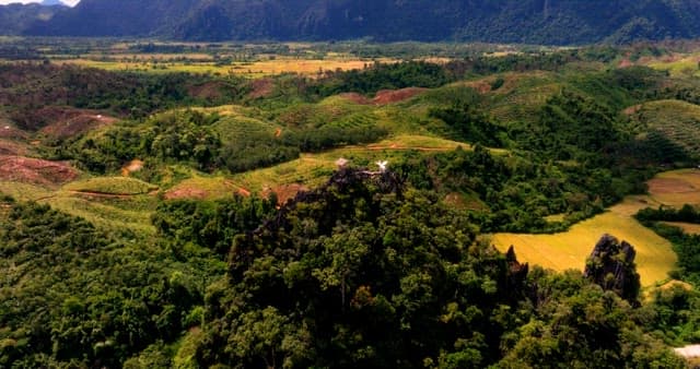 Aerial View of Lush Green Landscape