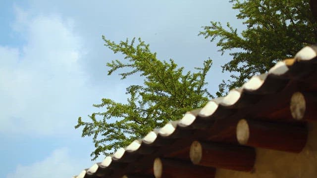 Traditional Korean Architecture and Nature